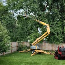 Best Palm Tree Trimming  in Valhalla, NY